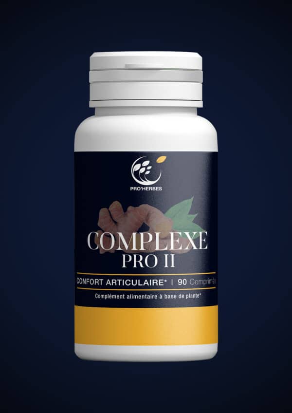 COMPLEXE PRO II 90 comprimés